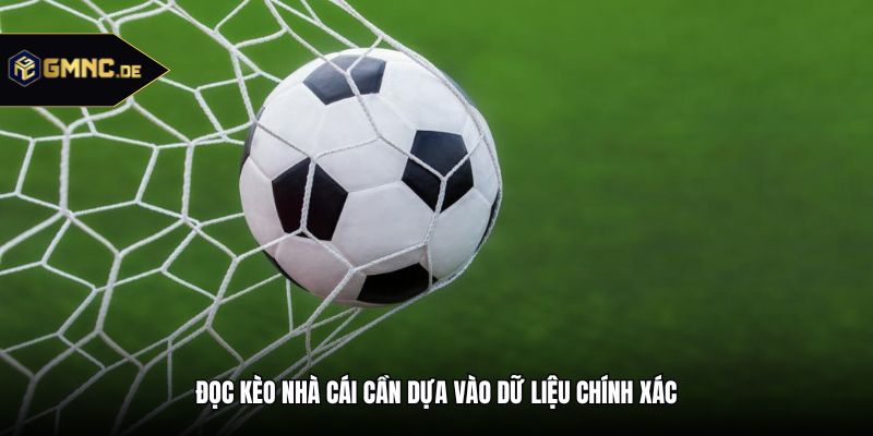 Đọc kèo nhà cái cần dựa vào dữ liệu chính xác