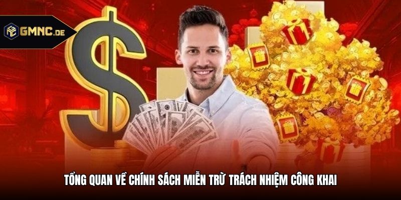Tổng quan về chính sách miễn trừ trách nhiệm công khai